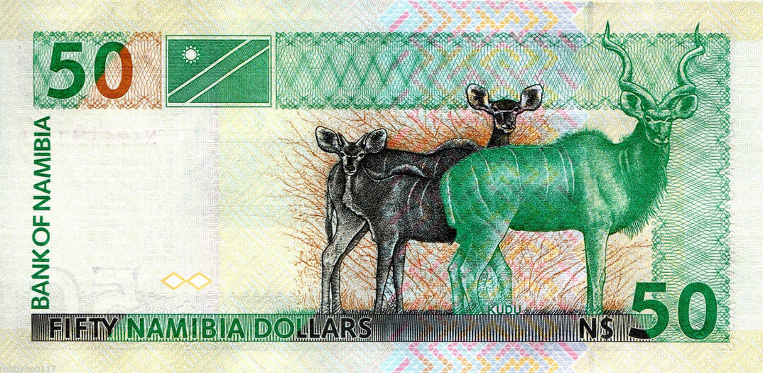 P 8a Namibia 50 Dollars Year 2003