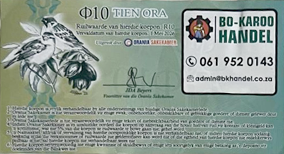NIP Orania - 10 Ora (2023)