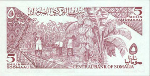 P31c Somalia 5 Shilin Year 1983