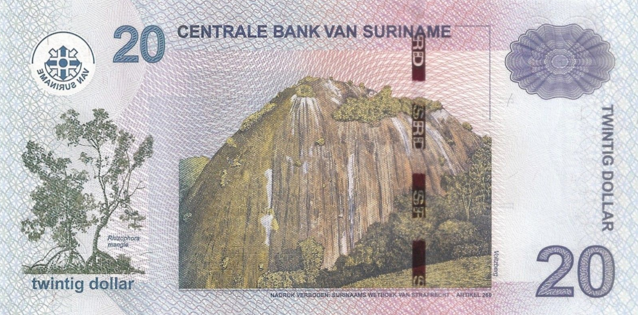 P164a Surinam 20 Dollars Year 2010