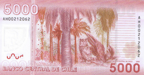 P163b Chile 5000 Pesos year 2011 * Polymer
