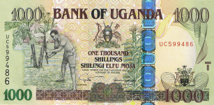 P43 Uganda 1000 Shillings Year 2005/2008/2009